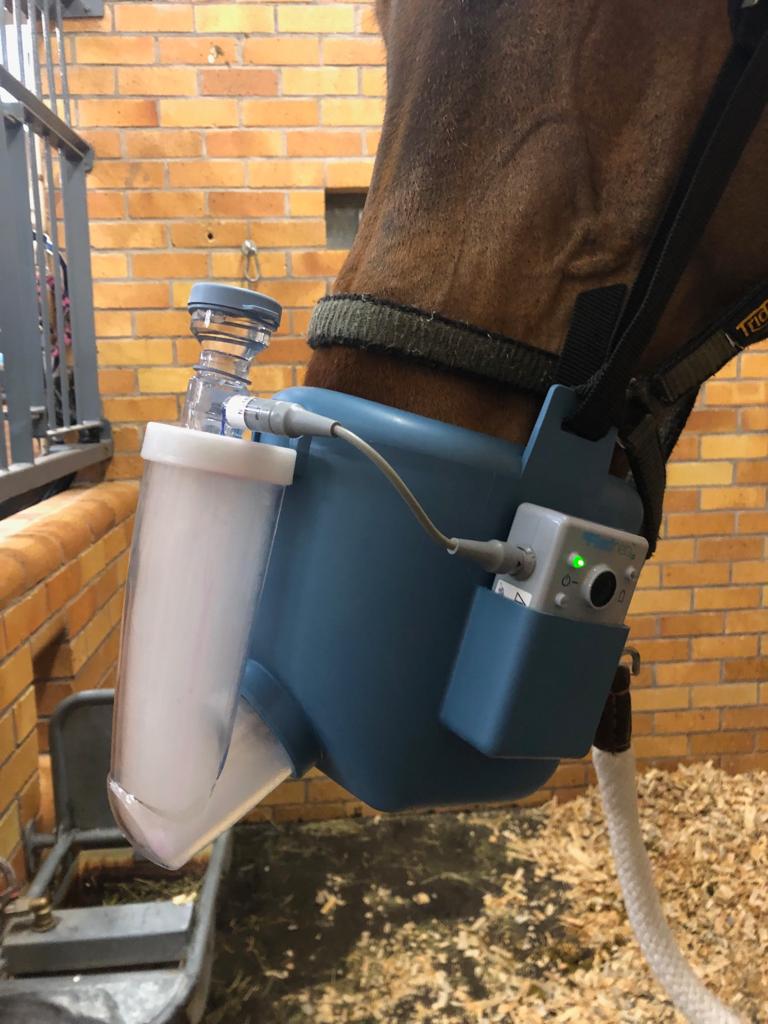Medical Challenges in Equine Practice Q3 CPD Solutions’ inar Club